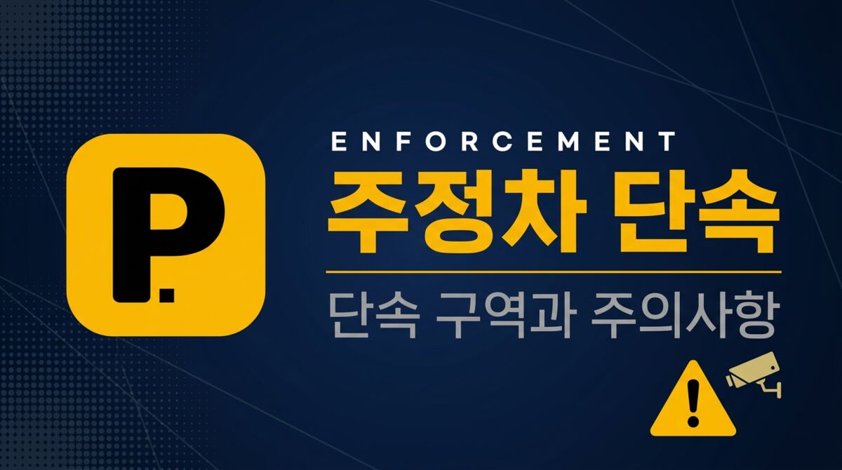 주정차 단속 시뮬레이터 - 전국 무료/공영 주차장 모음