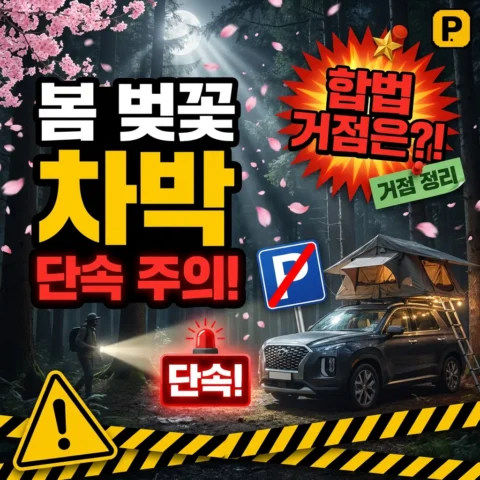 봄 벚꽃 시즌 차박·캠핑 주의 — 합법 거점과 단속 - 꿀팁